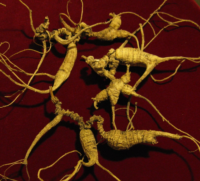 Ginseng