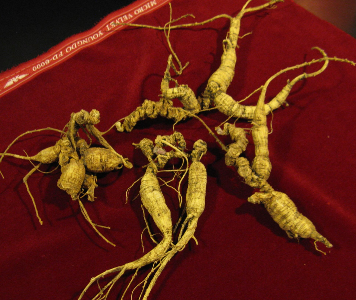 Ginseng
