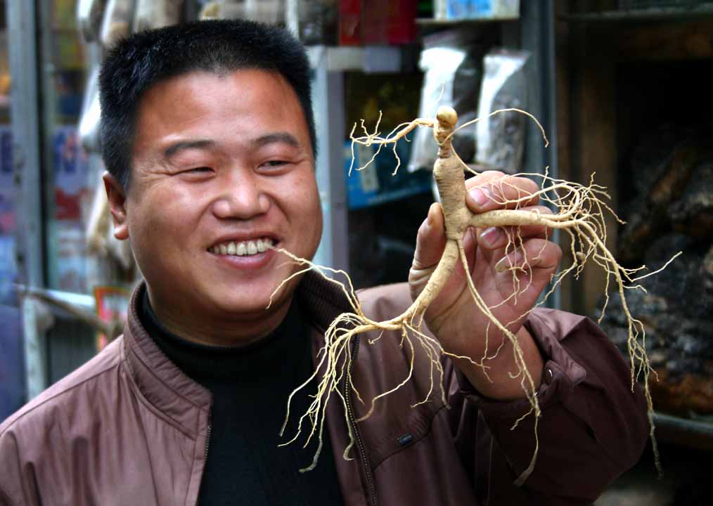 Ginseng